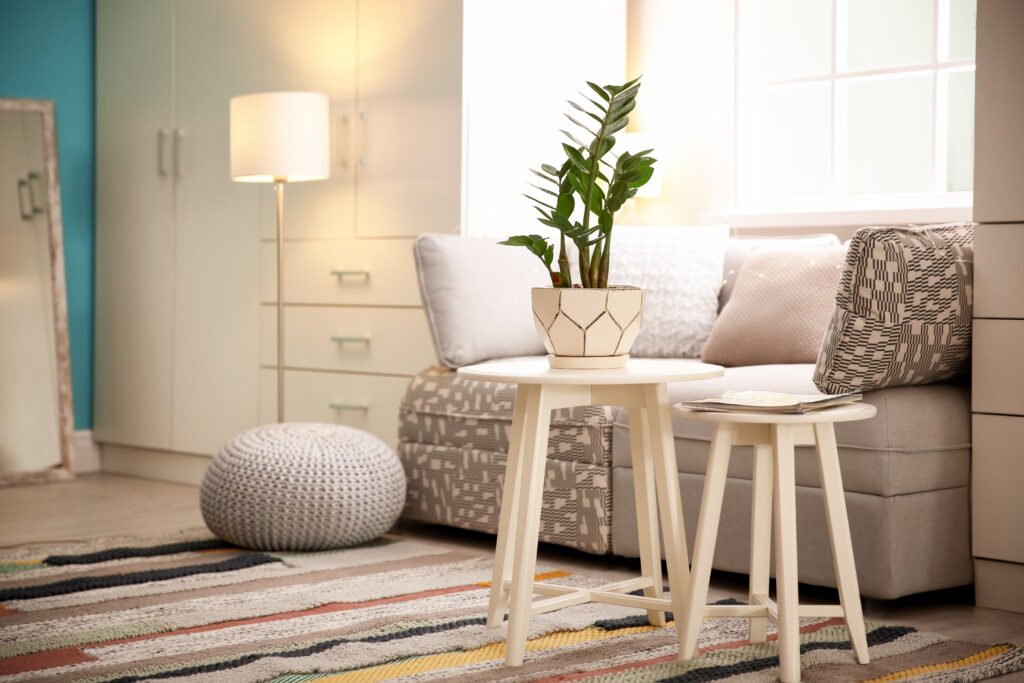 chosy leaving area interior designing