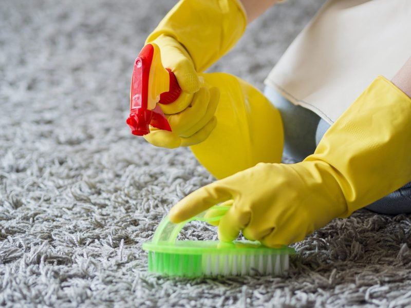carpet cleaning